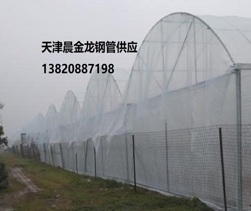 連棟大棚管