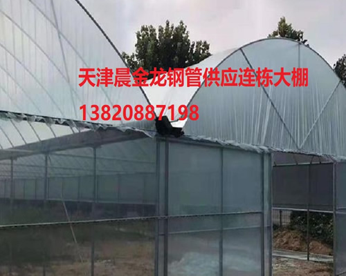 連棟大棚管